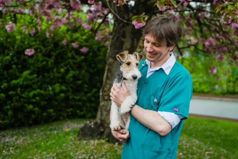Dr Hendrik Fahrenholt BVSc CertVC MRCVS