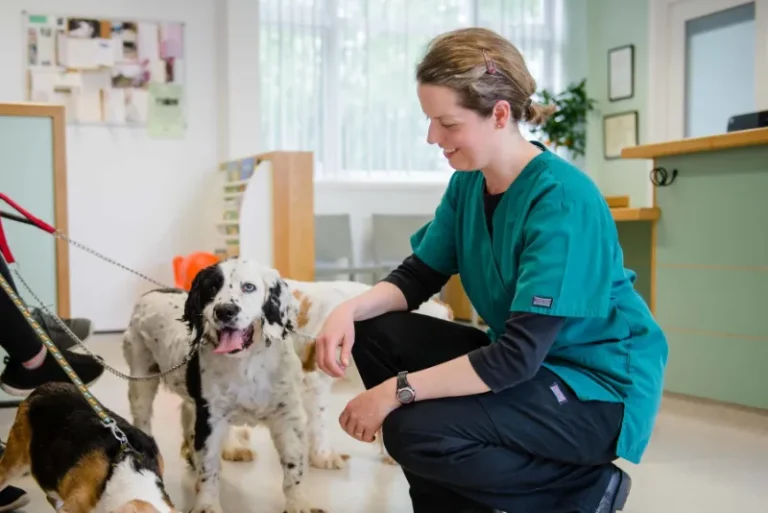Rebecca Farenholt Practice Manager with pet dogs at vets