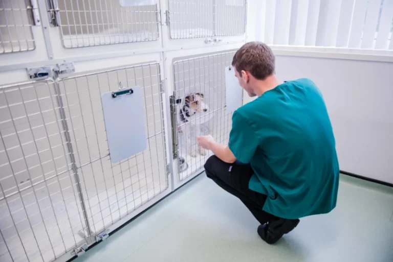 vets kennels Shrewsbury